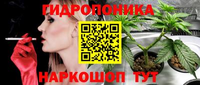 Альфа ПВП Берёзовский