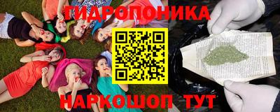 Альфа ПВП Берёзовский